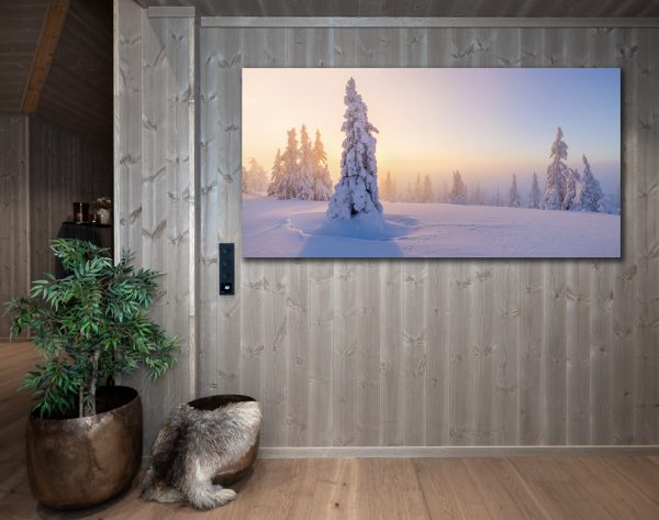 Fjellgranskog i tåke