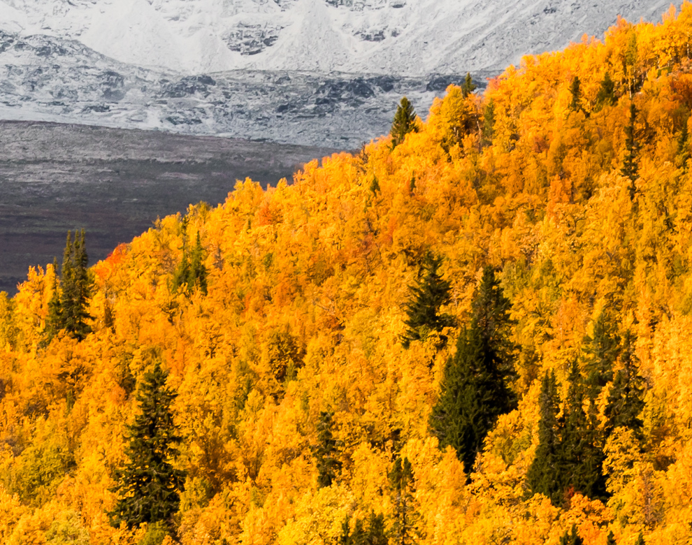 Storslåtte Rondane - Bilde 3