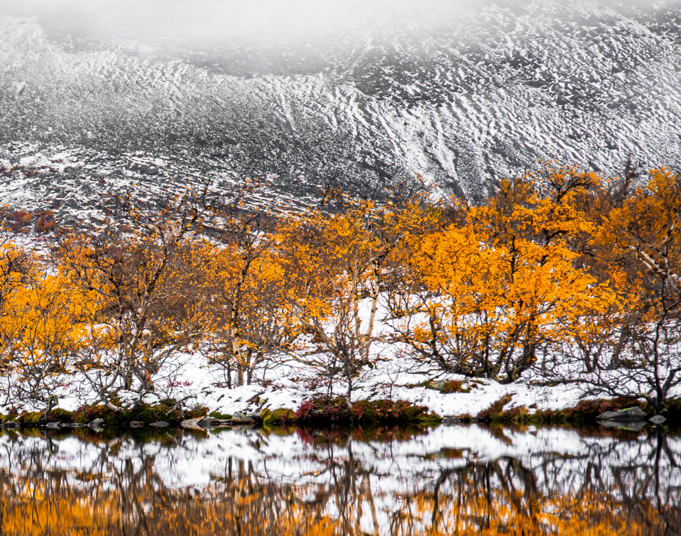 Midt mellom høst og vinter - Bilde 2